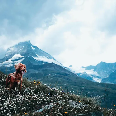 Hapimag Zell Am Apart-hotel Zell am See