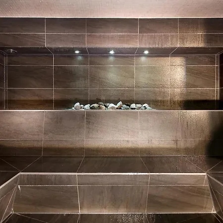 شقة فندقية Hapimag Zell Am 4*